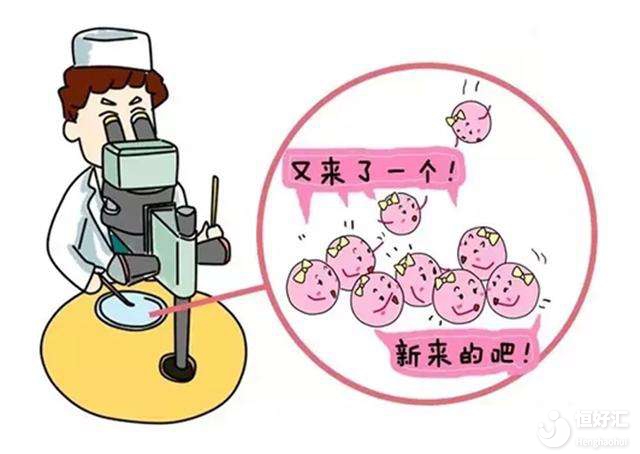 取卵過程中的八大意外，你要小心！