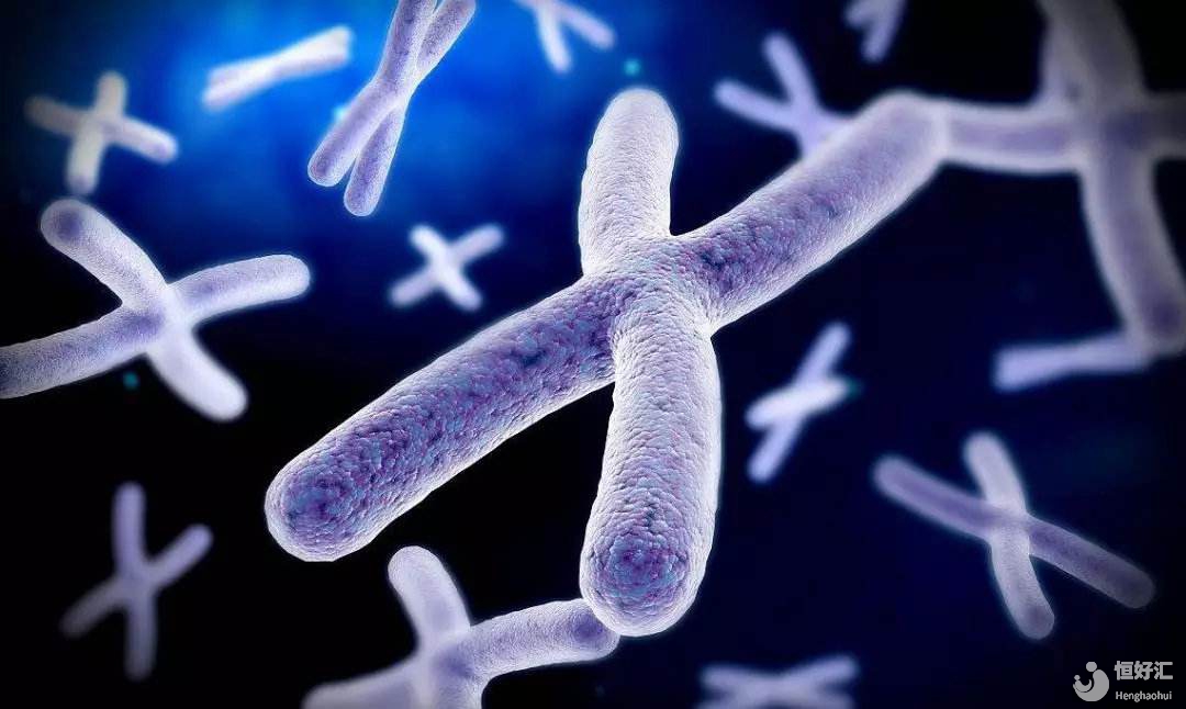  如何更好地提高試管嬰兒的成功率？