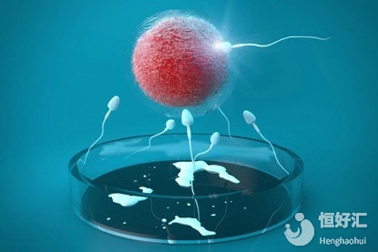 試管嬰兒能把梅毒排除嗎？