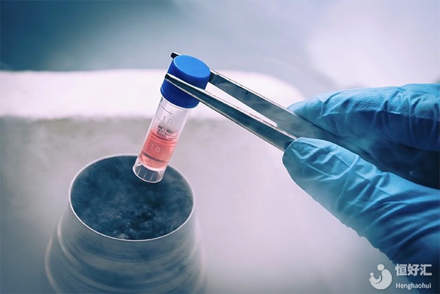 試管冷凍胚胎移植率到底能不能保證？