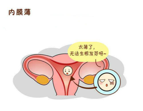 試管嬰兒治療前子宮內膜薄要怎么做？