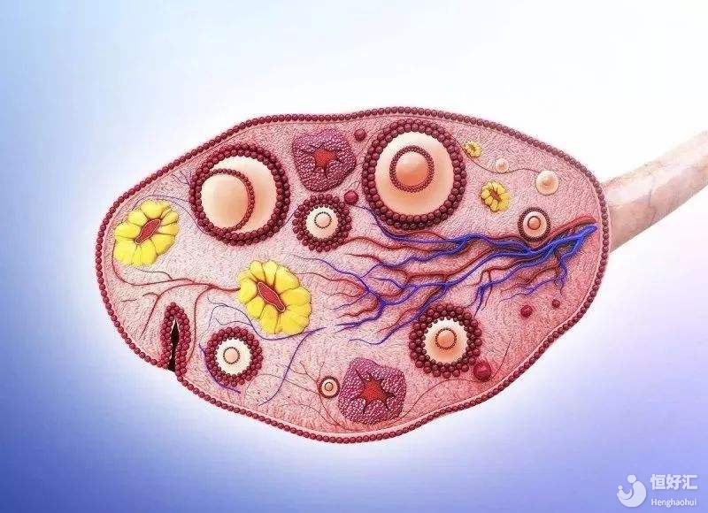 疑問解讀：黃體挫敗的原因是什么？