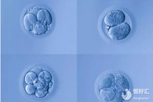 試管嬰兒胚胎移植成功是不是就代表懷孕了呢？