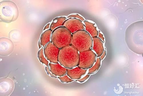千古難題：試管嬰兒移植了優(yōu)質胚胎為啥還沒懷孕？
