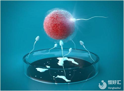 是誰在“照顧”體外的胚胎寶寶？