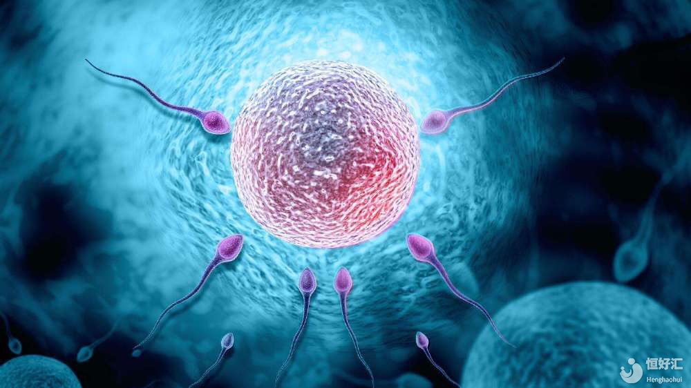 促排卵針會使人變胖？妹子那你誤會大了