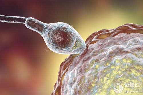 試管嬰兒治療時(shí)期，你的卵子質(zhì)量達(dá)標(biāo)了沒(méi)？