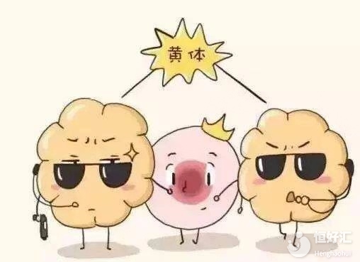 做試管嬰兒時(shí)一定要進(jìn)行黃體支持嗎？