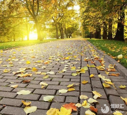 做試管嬰兒治療，“我”要在哪個(gè)季節(jié)進(jìn)行比較好？