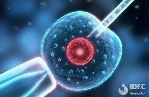 胚胎移植失敗的癥狀，快來看看你有沒有