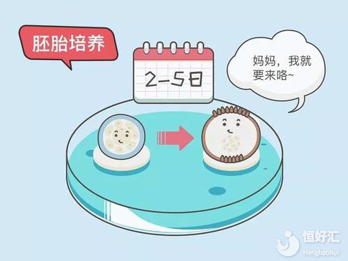 試管嬰兒胚胎移植這些事，你知道多少？