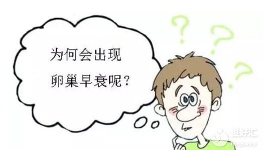 FSH值過高，一定是卵巢早衰嗎？
