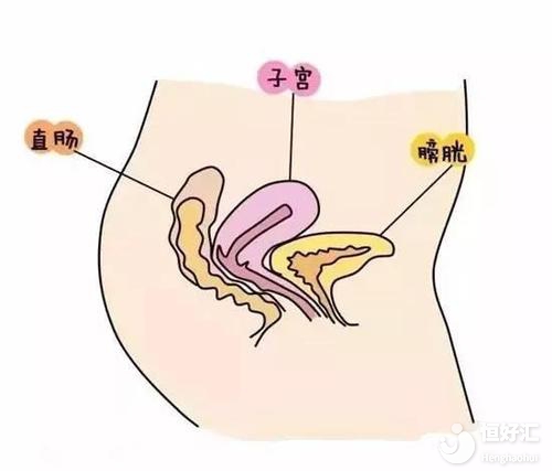 已懷孕12周，孕婦宮頸有多大才正常？