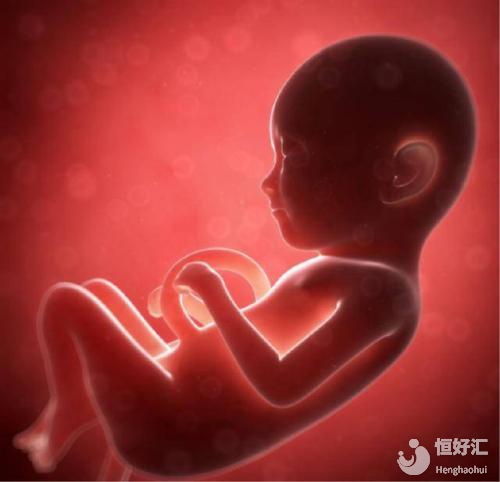 胎兒沒有胎心可以在子宮待多久？