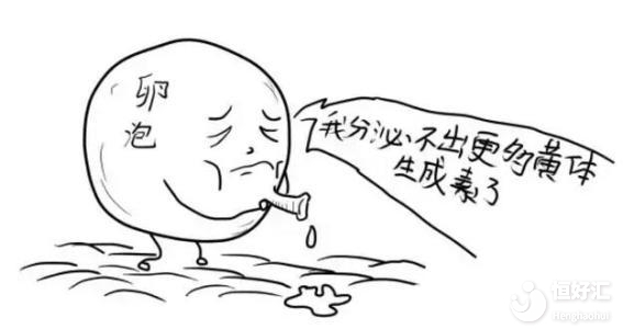 卵泡發(fā)育緩慢會(huì)不會(huì)影響備孕？