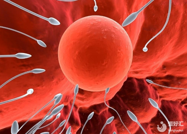 上萬人好奇的問題：胚胎要怎么培養(yǎng)出來？