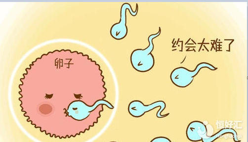 想試管嬰兒助孕？首先你要知道這些事！