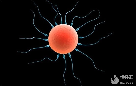 高齡女性做試管嬰兒的希望大嗎？