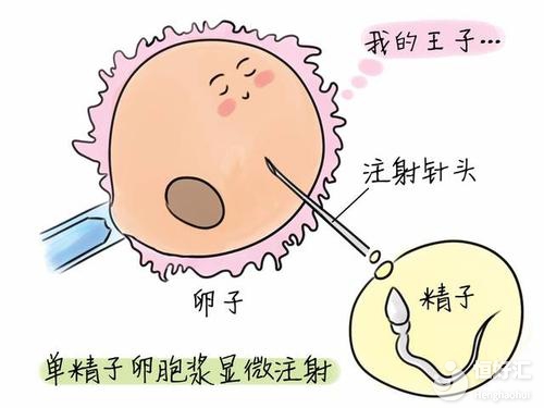 為什么一直說(shuō)年齡會(huì)影響試管嬰兒成功率？