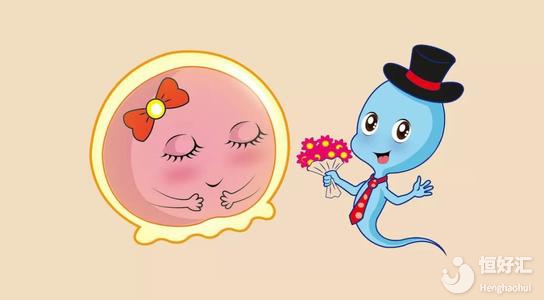 月經(jīng)結(jié)束要過多久才可以監(jiān)測(cè)排卵？