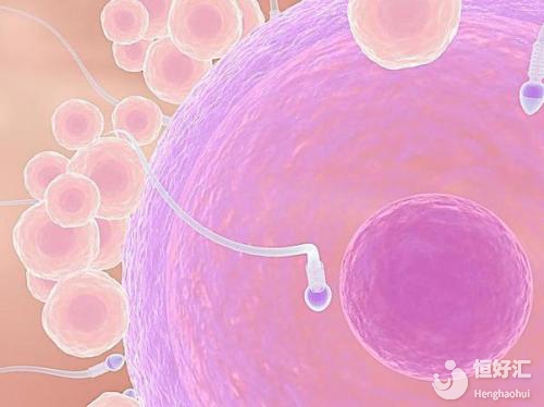 試管嬰兒什么樣的促排卵方案比較合適自己？