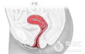 為什么肥胖是困擾備孕女性的重要煩惱之一？