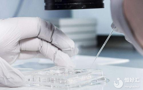 揭秘神奇的試管嬰兒各個治療環(huán)節(jié)用的時間