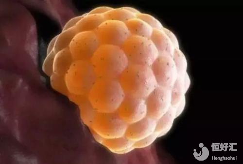 做試管嬰兒必做的一件事，你還在錯過嗎？