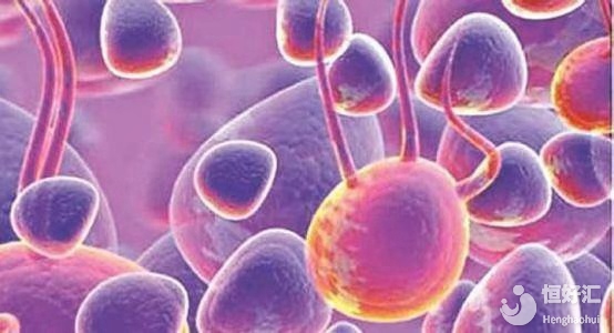 多囊卵巢的患者做試管嬰兒應(yīng)該注意什么？