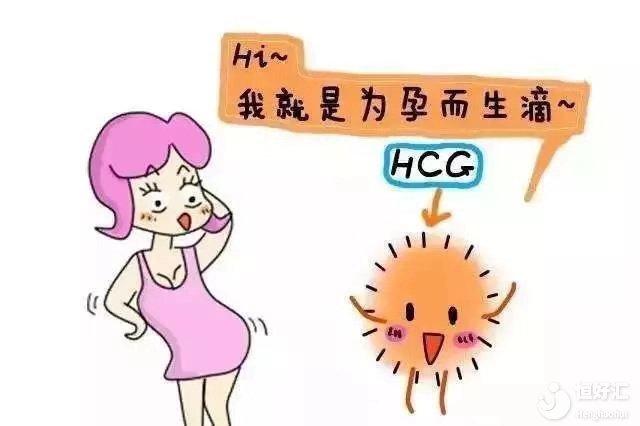 你知道嗎？HCG是帶來(lái)“孕氣”的象征