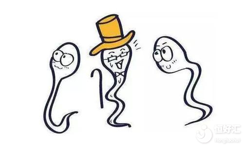 精子畸形率高不能受孕？是不是真的？