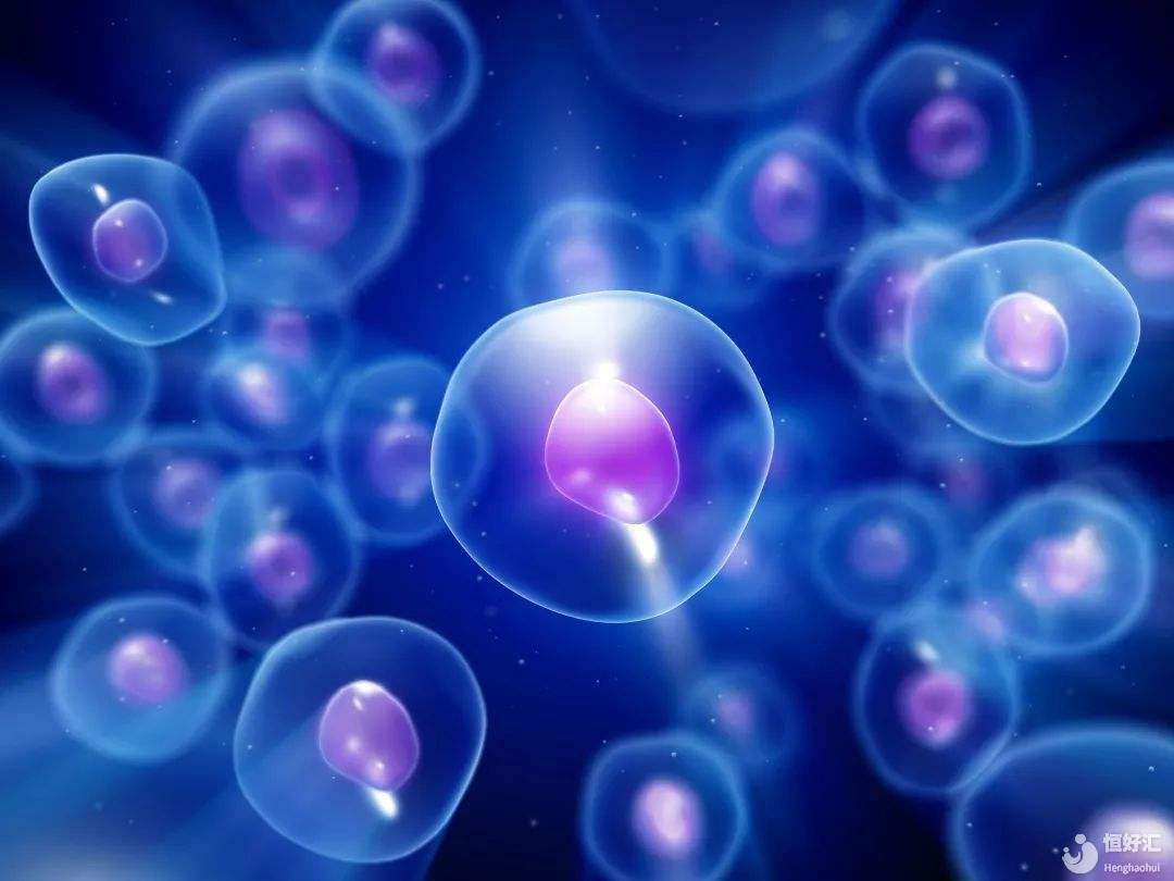 123456......我的胚胎數(shù)怎么不等于我的卵泡數(shù)？