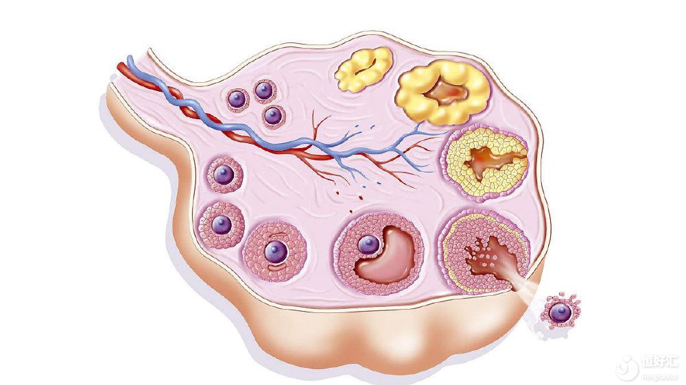 45歲高齡做試管嬰兒，順利生育的幾率有多高？