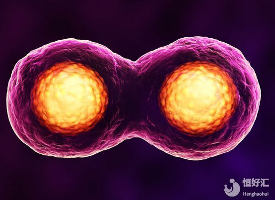 試管取卵失?。咳蚵涯讣?xì)胞“玩消失”？