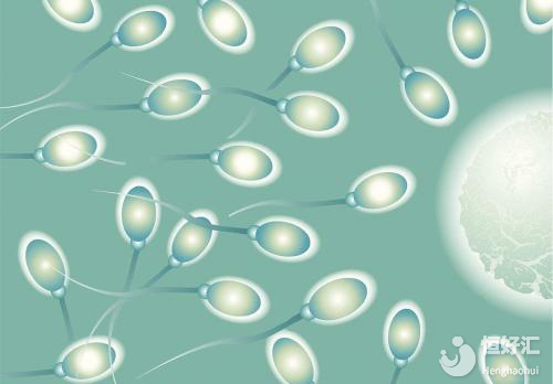 精子要怎么樣才達(dá)到做試管嬰兒的標(biāo)準(zhǔn)？