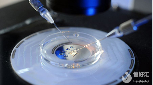 試管嬰兒胚胎冷凍要怎樣進(jìn)行？