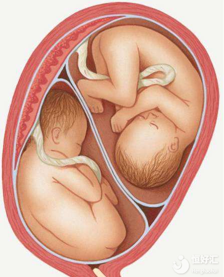 自然周期促排成功率，真的很低嗎？