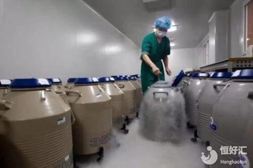 試管嬰兒療程中，冷凍胚胎移植的成功率真的比較高嗎？