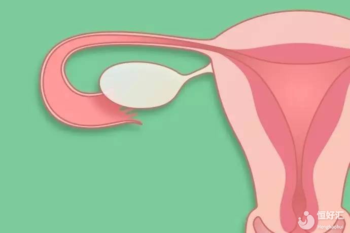 促排卵中，短方案究竟何德何能，可以成功促排？