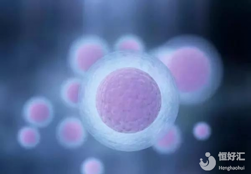 做試管嬰兒，具體要取多少卵子？