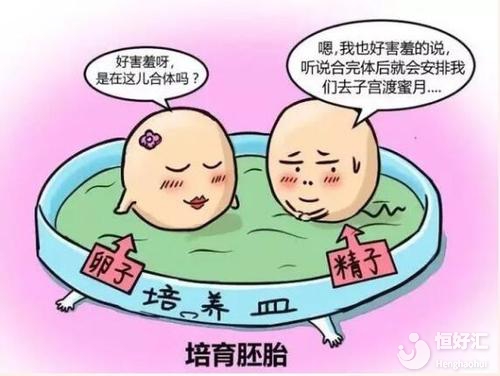 試管嬰兒當中，照顧胚胎的“天使”是怎么工作的？