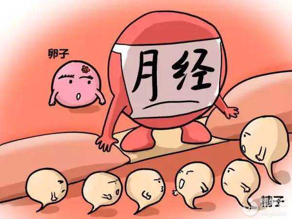 卵泡符合這些要求，容易帶來(lái)“好孕氣”！