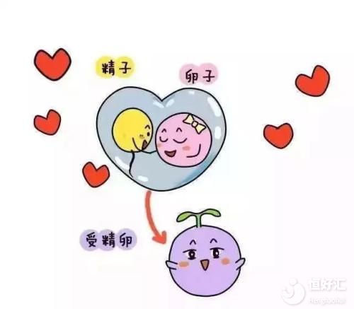 輸卵管積水患者適合做第幾代試管嬰兒？