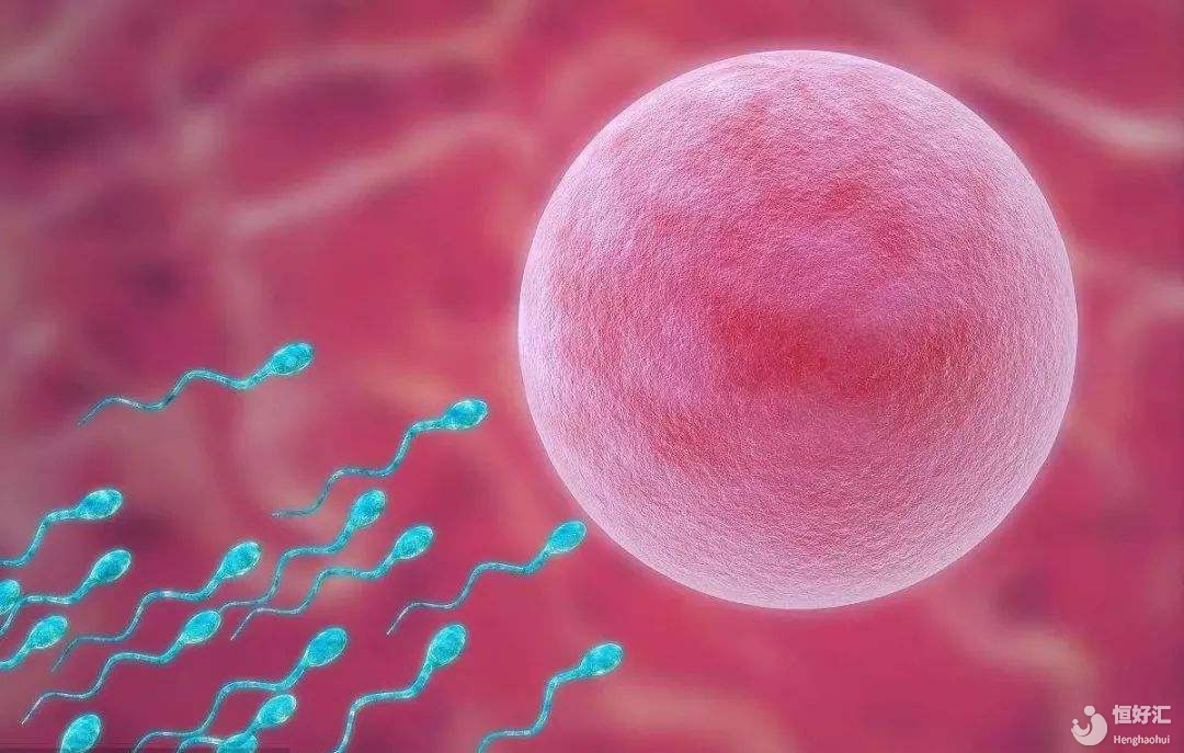 誰(shuí)阻礙了我試管寶寶的出生？影響試管嬰兒的六大因素（上）