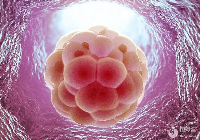 誰(shuí)阻礙了我試管寶寶的出生？影響試管嬰兒的六大因素（下）