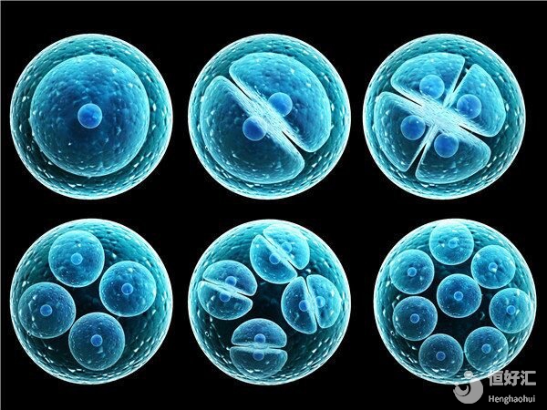 糟糕！我的胚胎碎了？什么是胚胎碎片？