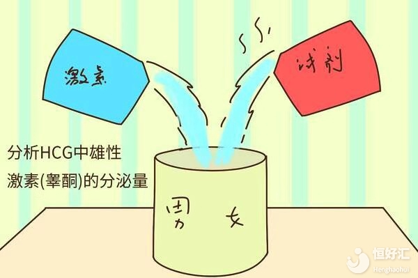 透過(guò)性激素六項(xiàng)，能了解女性多少事情？