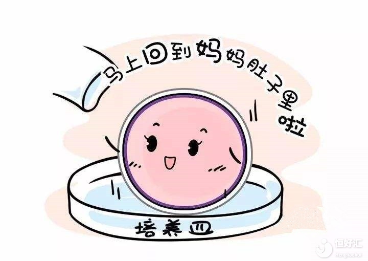 答疑解惑：胚胎種類有哪些？成功率高嗎？