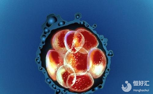 不知如何安排做試管嬰兒的時間？看這里！