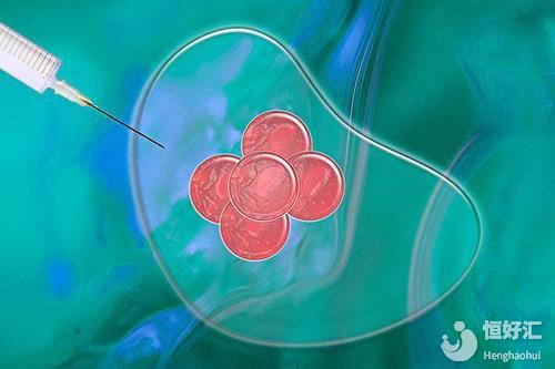 試管嬰兒成功率跟活產(chǎn)率的區(qū)別，別再分不清了！